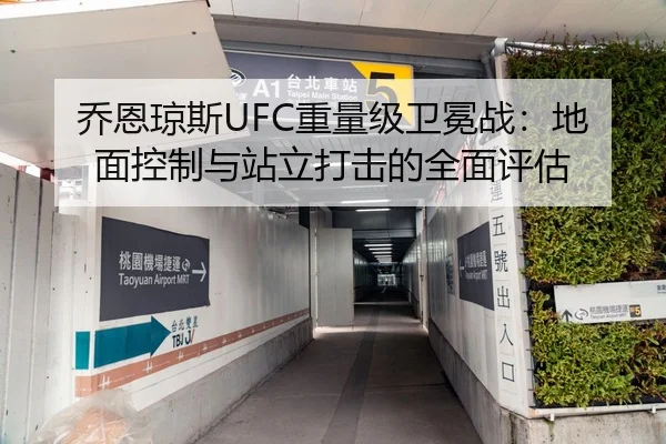 乔恩琼斯UFC重量级卫冕战：地面控制与站立打击的全面评估
